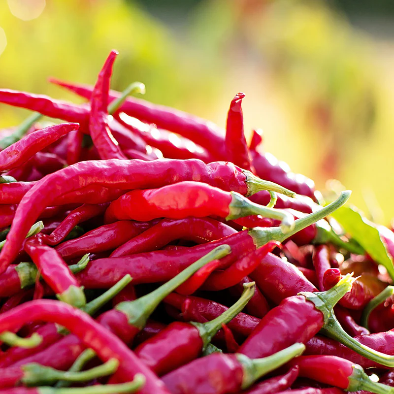 Cayenne Pepper